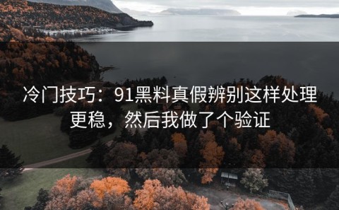 冷门技巧：91黑料真假辨别这样处理更稳，然后我做了个验证