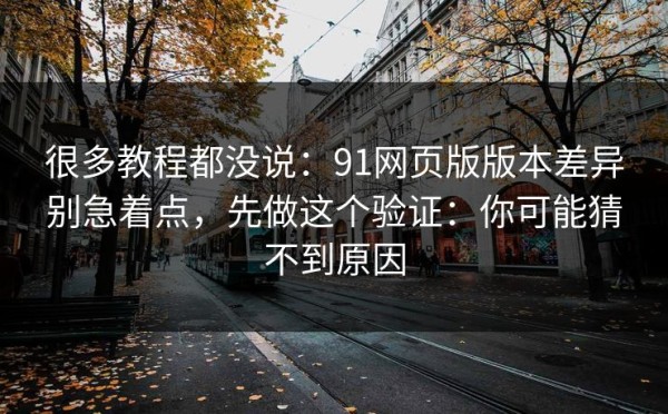 很多教程都没说：91网页版版本差异别急着点，先做这个验证：你可能猜不到原因