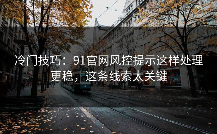 冷门技巧：91官网风控提示这样处理更稳，这条线索太关键