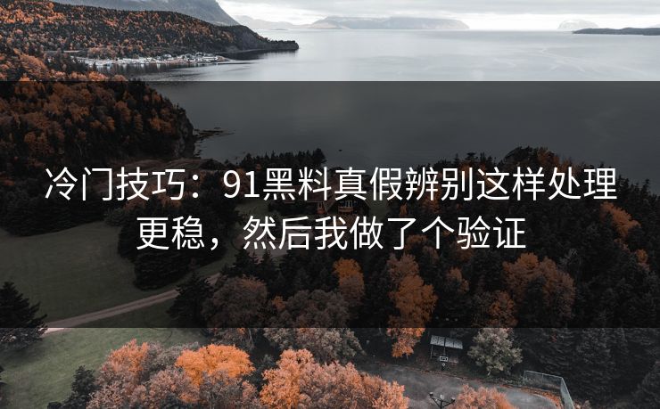 冷门技巧：91黑料真假辨别这样处理更稳，然后我做了个验证