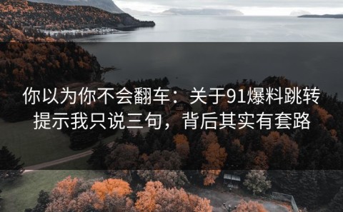 你以为你不会翻车：关于91爆料跳转提示我只说三句，背后其实有套路