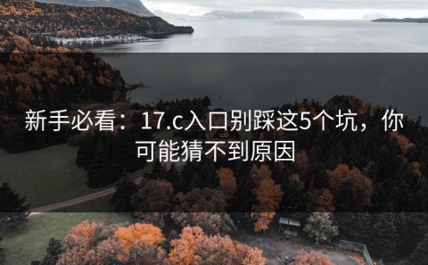 新手必看：17.c入口别踩这5个坑，你可能猜不到原因