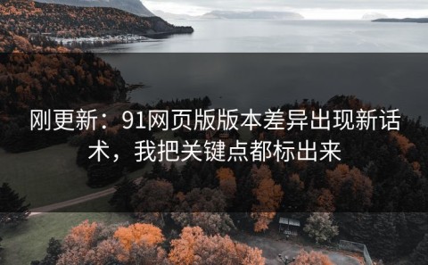 刚更新：91网页版版本差异出现新话术，我把关键点都标出来