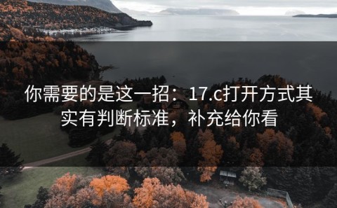 你需要的是这一招：17.c打开方式其实有判断标准，补充给你看