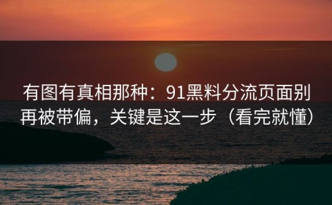 有图有真相那种：91黑料分流页面别再被带偏，关键是这一步（看完就懂）