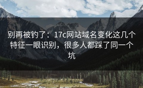 别再被钓了：17c网站域名变化这几个特征一眼识别，很多人都踩了同一个坑