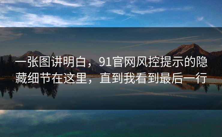一张图讲明白，91官网风控提示的隐藏细节在这里，直到我看到最后一行